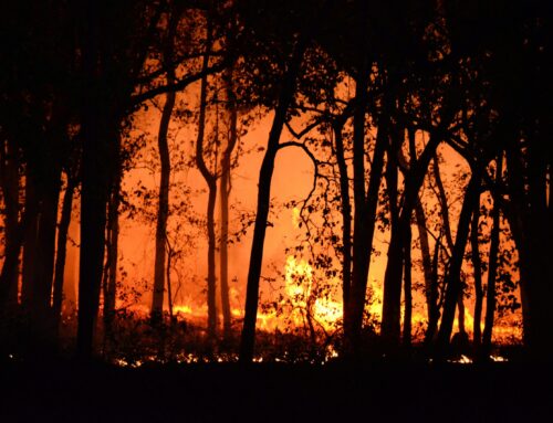 How Crimsafe Stands Up to Bushfires, Storms, and Forced Entry